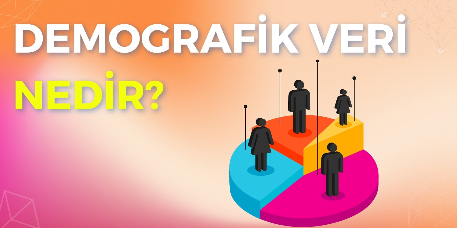 Demografik Veri Nedir